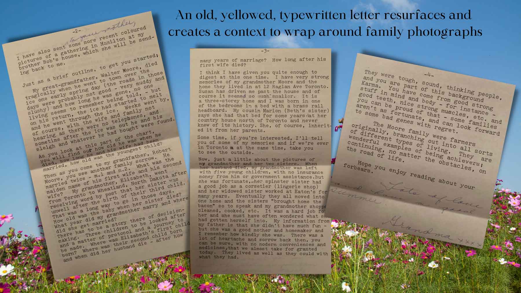 The text "An old, yellowed, typewritten letter resurfaces and creates a context to wrap around family photographs" above photos of three pages of such a letter, superimposed over a meadow of wildflowers